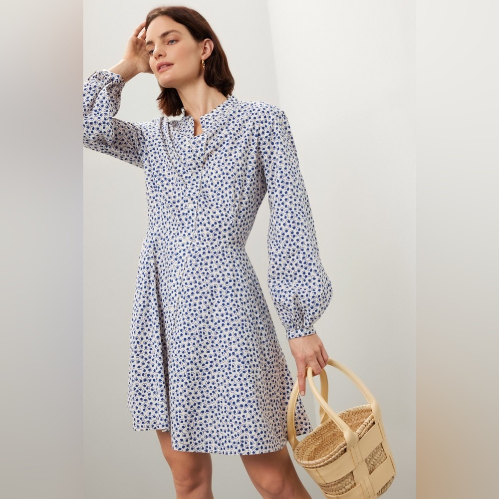 Polo by Ralph Lauren White and Blue Floral Long Sleeve Sundress